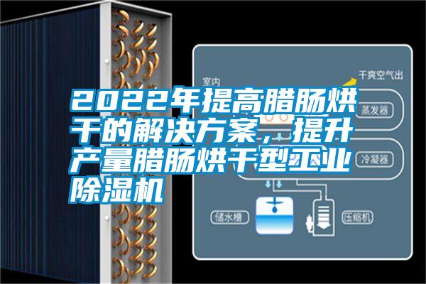 2022年提高臘腸烘干的解決方案，提升產量臘腸烘干型工業(yè)除濕機