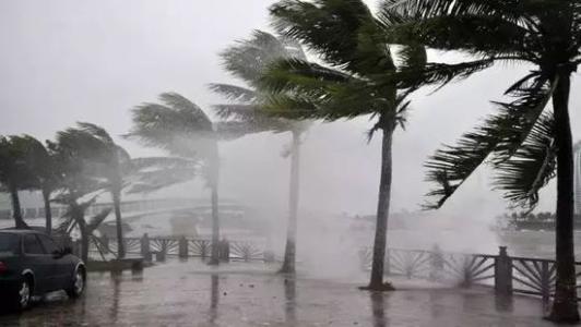 8月臺風雨即將來，除濕機還得用起來