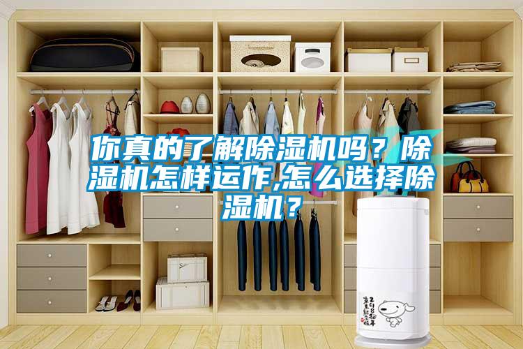 你真的了解除濕機嗎？除濕機怎樣運作,怎么選擇除濕機？