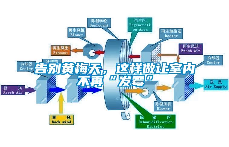 告別黃梅天，這樣做讓室內(nèi)不再“發(fā)霉”