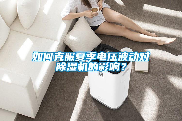 如何克服夏季電壓波動對除濕機的影響？