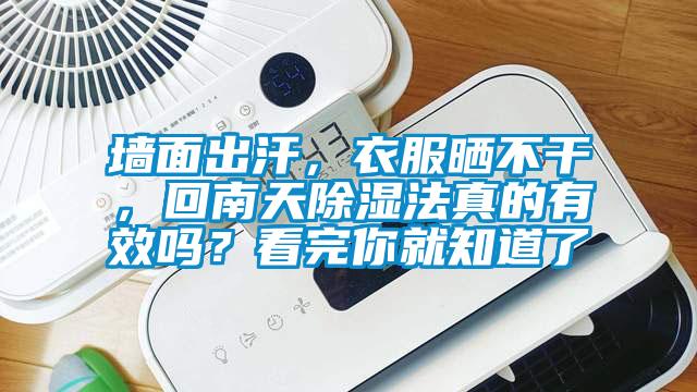 墻面出汗，衣服曬不干，回南天除濕法真的有效嗎？看完你就知道了