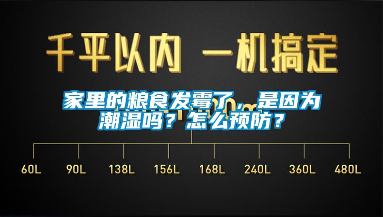 家里的糧食發(fā)霉了，是因?yàn)槌睗駟幔吭趺搭A(yù)防？