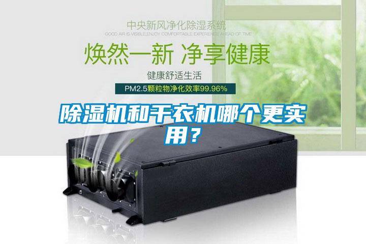 除濕機和干衣機哪個更實用？