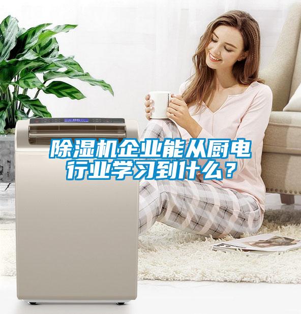 除濕機企業(yè)能從廚電行業(yè)學習到什么？