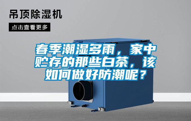 春季潮濕多雨，家中貯存的那些白茶，該如何做好防潮呢？