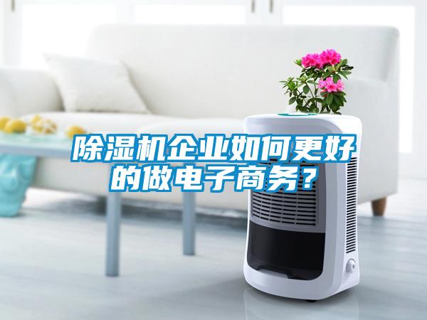 除濕機(jī)企業(yè)如何更好的做電子商務(wù)？