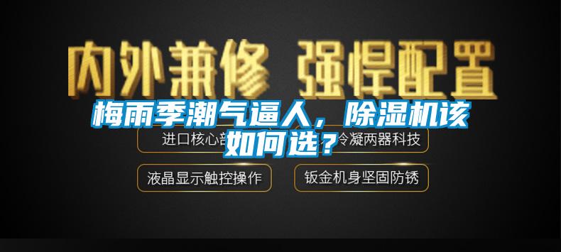 梅雨季潮氣逼人，除濕機該如何選？