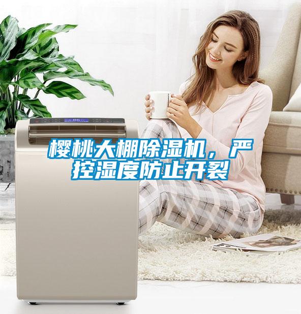 櫻桃大棚除濕機(jī)，嚴(yán)控濕度防止開(kāi)裂