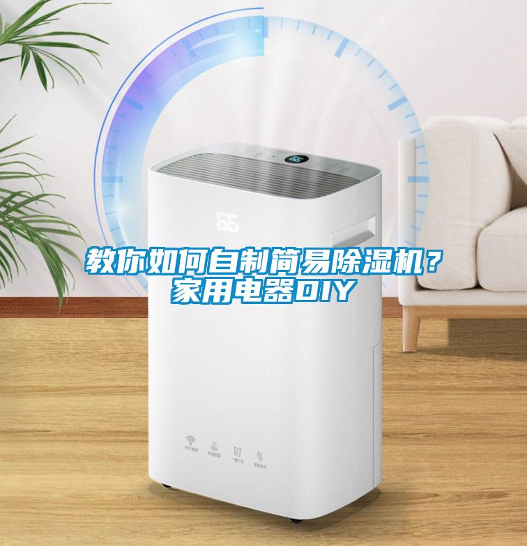 教你如何自制簡(jiǎn)易除濕機(jī)？家用電器DIY