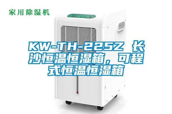 KW-TH-225Z 長沙恒溫恒濕箱，可程式恒溫恒濕箱