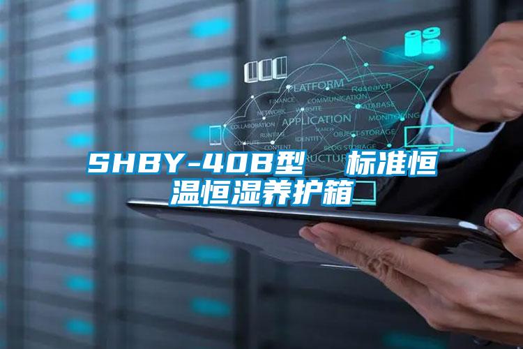 SHBY-40B型  標準恒溫恒濕養(yǎng)護箱