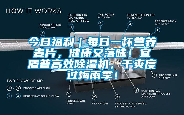 今日福利｜每日一杯營養(yǎng)麥片，健康又落味！宜盾普高效除濕機(jī)，干爽度過梅雨季！