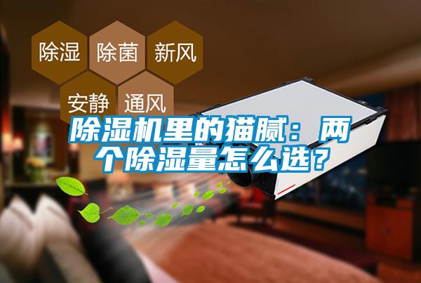 除濕機里的貓膩：兩個除濕量怎么選？