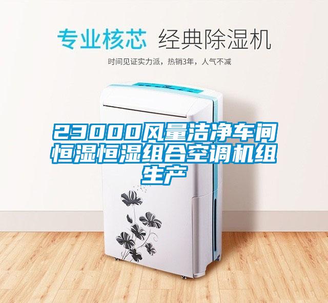 23000風(fēng)量潔凈車間恒濕恒濕組合空調(diào)機(jī)組生產(chǎn)