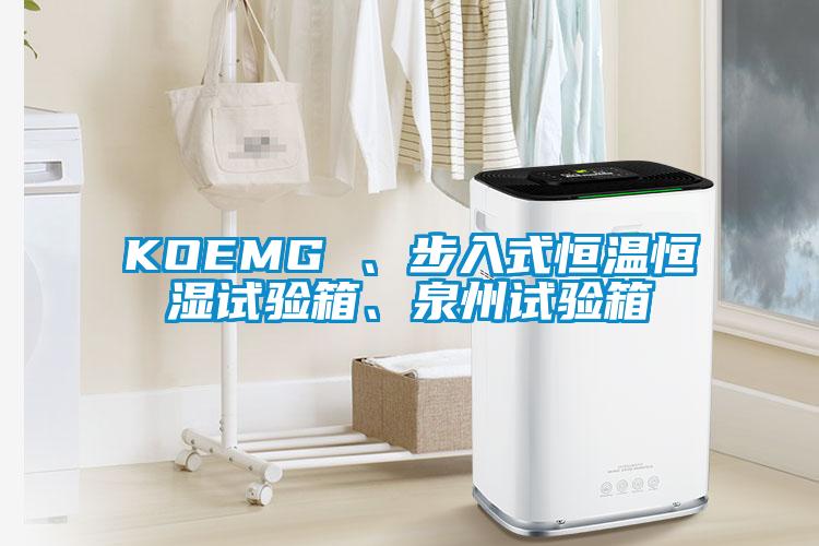 KOEMG 、步入式恒溫恒濕試驗箱、泉州試驗箱