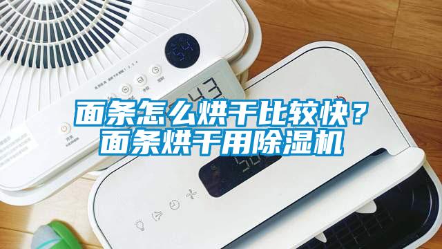 面條怎么烘干比較快？面條烘干用除濕機(jī)