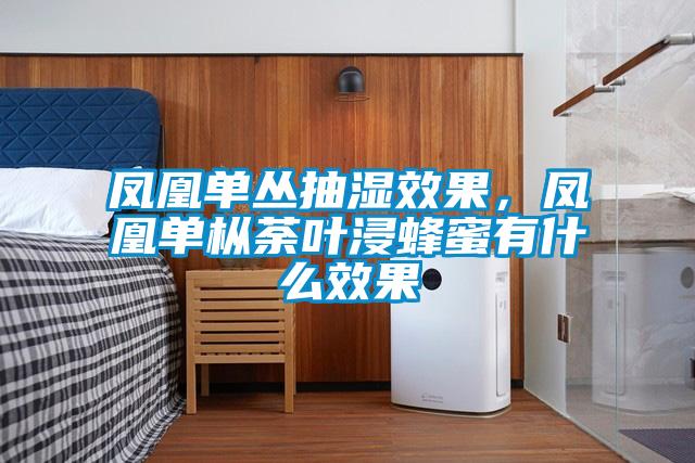 鳳凰單叢抽濕效果，鳳凰單樅荼葉浸蜂蜜有什么效果