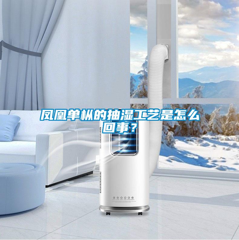 鳳凰單樅的抽濕工藝是怎么回事？