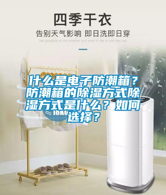 什么是電子防潮箱？防潮箱的除濕方式除濕方式是什么？如何選擇？