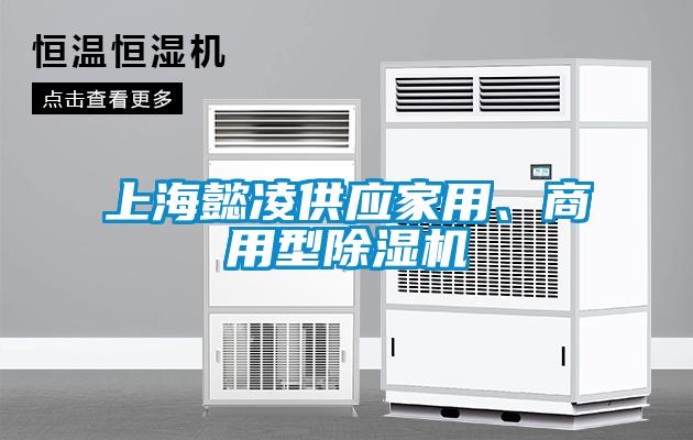 上海懿凌供應(yīng)家用、商用型除濕機