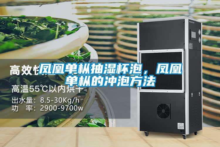 鳳凰單樅抽濕杯泡，鳳凰單樅的沖泡方法
