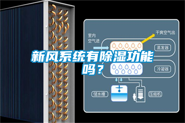 新風(fēng)系統(tǒng)有除濕功能嗎？
