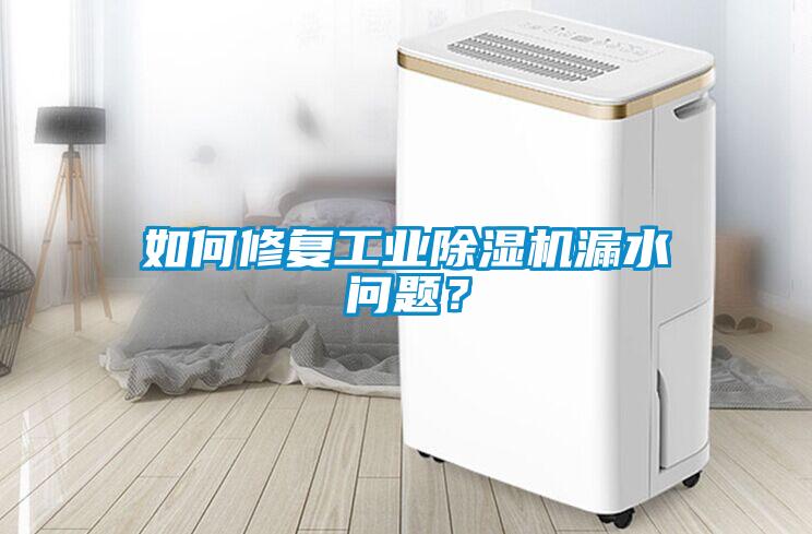 如何修復工業(yè)除濕機漏水問題？