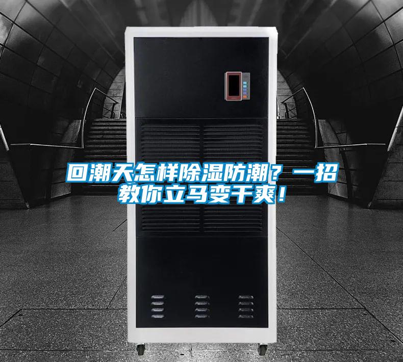 回潮天怎樣除濕防潮？一招教你立馬變干爽！