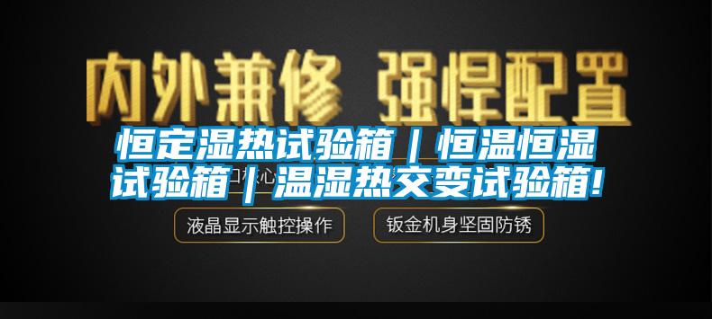 恒定濕熱試驗(yàn)箱｜恒溫恒濕試驗(yàn)箱｜溫濕熱交變試驗(yàn)箱!