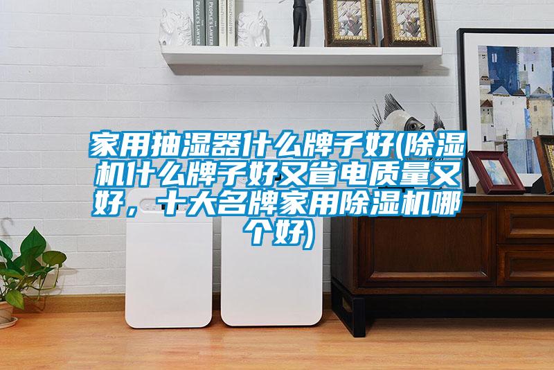 家用抽濕器什么牌子好(除濕機(jī)什么牌子好又省電質(zhì)量又好，十大名牌家用除濕機(jī)哪個(gè)好)