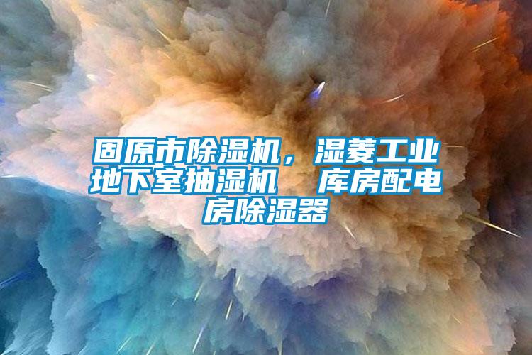 固原市除濕機(jī)，濕菱工業(yè)地下室抽濕機(jī)  庫房配電房除濕器
