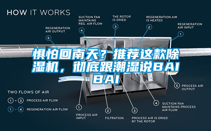 懼怕回南天？推薦這款除濕機，徹底跟潮濕說BAIBAI