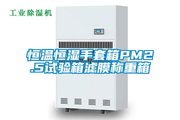 恒溫恒濕手套箱PM2.5試驗箱濾膜稱重箱