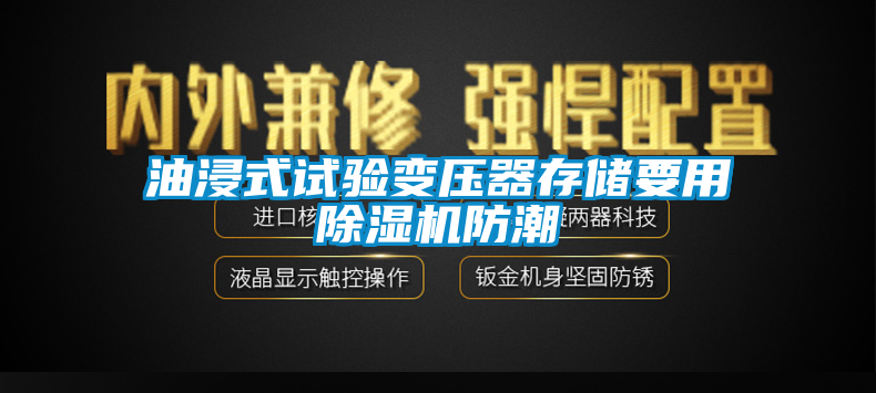 油浸式試驗(yàn)變壓器存儲要用除濕機(jī)防潮