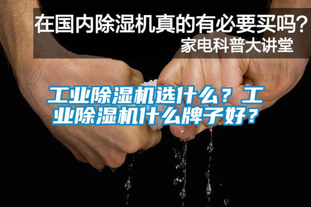 工業(yè)除濕機選什么？工業(yè)除濕機什么牌子好？