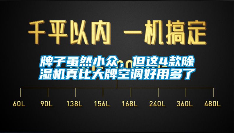 牌子雖然小眾，但這4款除濕機(jī)真比大牌空調(diào)好用多了