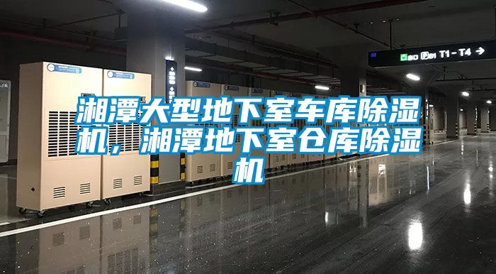 湘潭大型地下室車(chē)庫(kù)除濕機(jī)，湘潭地下室倉(cāng)庫(kù)除濕機(jī)