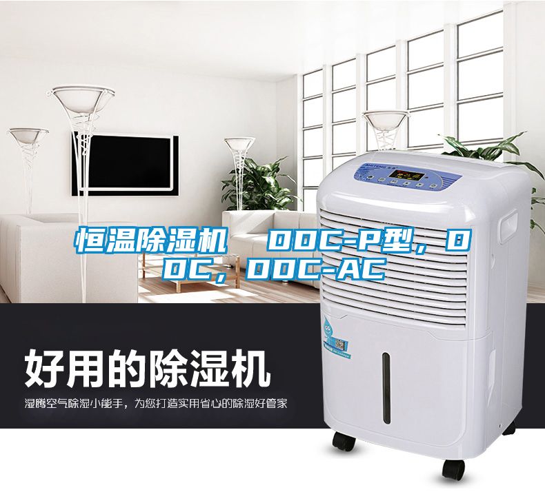 恒溫除濕機(jī)  DDC-P型，DDC，DDC-AC