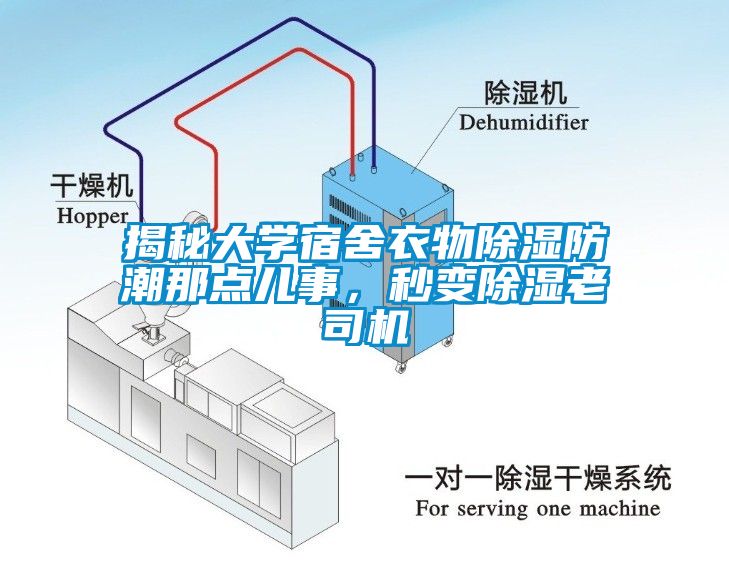 揭秘大學宿舍衣物除濕防潮那點兒事，秒變除濕老司機