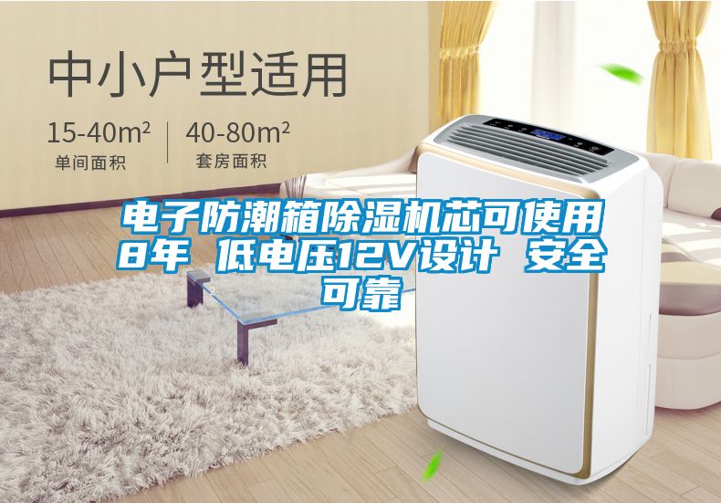 電子防潮箱除濕機芯可使用8年 低電壓12V設(shè)計 安全可靠