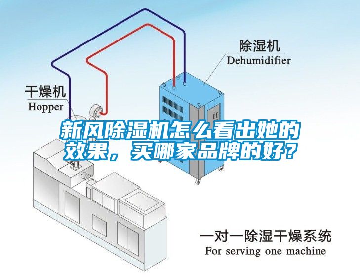 新風除濕機怎么看出她的效果，買哪家品牌的好？