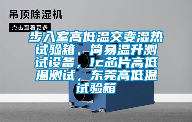 步入室高低溫交變濕熱試驗箱，簡易溫升測試設備，ic芯片高低溫測試，東莞高低溫試驗箱