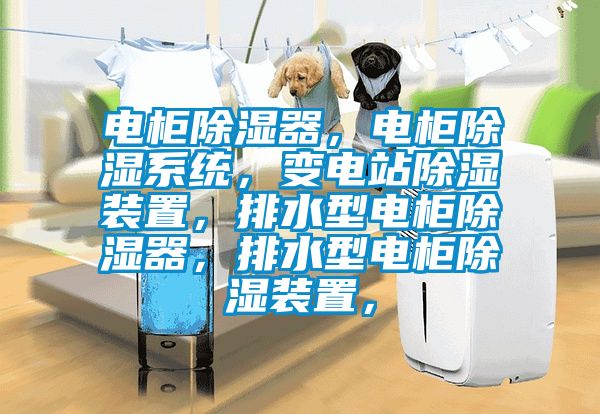 電柜除濕器，電柜除濕系統(tǒng)，變電站除濕裝置，排水型電柜除濕器，排水型電柜除濕裝置，