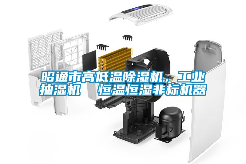 昭通市高低溫除濕機，工業(yè)抽濕機  恒溫恒濕非標機器