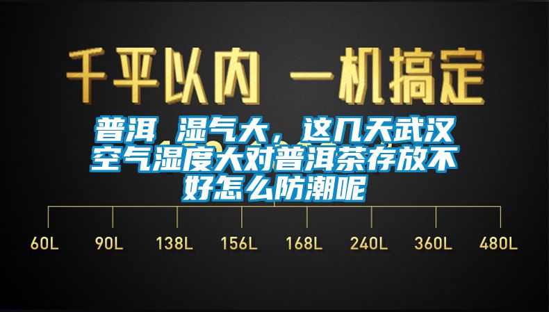 普洱 濕氣大，這幾天武漢空氣濕度大對普洱茶存放不好怎么防潮呢