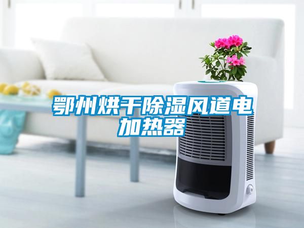 鄂州烘干除濕風(fēng)道電加熱器