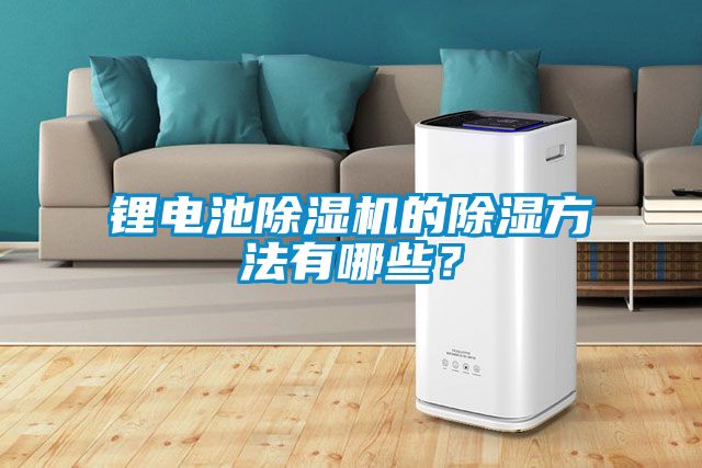 鋰電池除濕機(jī)的除濕方法有哪些？