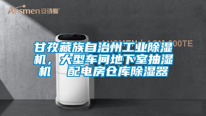 甘孜藏族自治州工業(yè)除濕機，大型車間地下室抽濕機  配電房倉庫除濕器