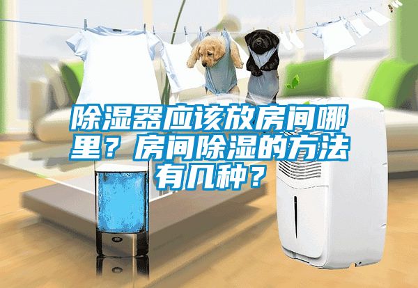 除濕器應(yīng)該放房間哪里？房間除濕的方法有幾種？